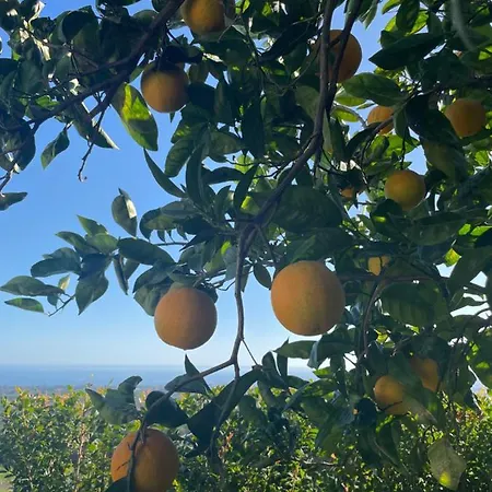 Profumo Di Zagara *